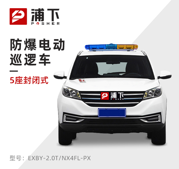 5座封闭式防爆电动巡逻车