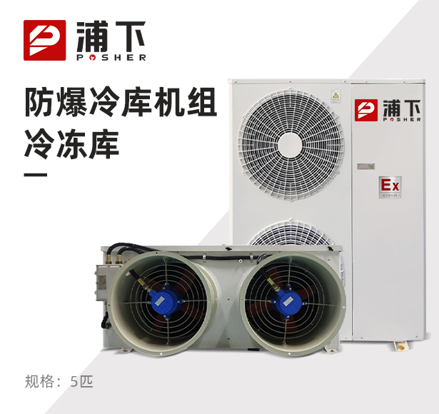 防爆冷库机组-冷冻库5匹