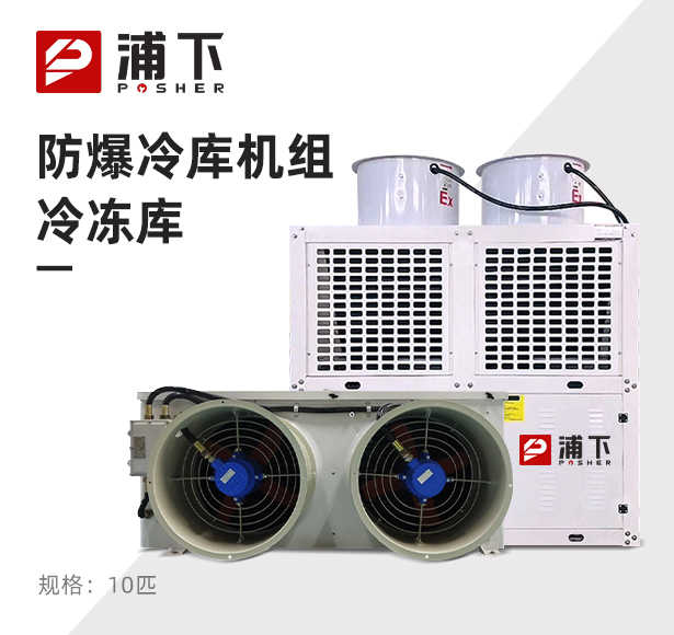 防爆冷库机组-冷冻库10匹