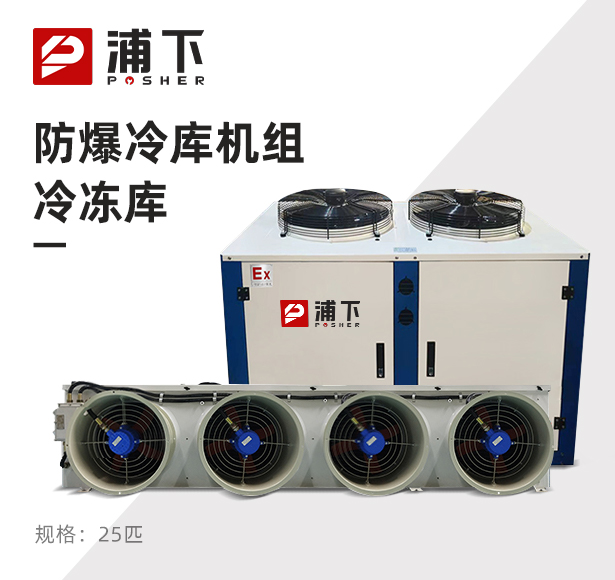 防爆冷库机组-冷冻库25匹